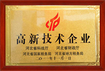 公司实力