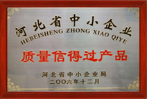 公司实力